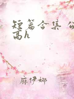 短篇合集 公车高h