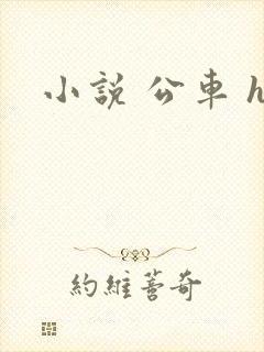 小说 公车 h