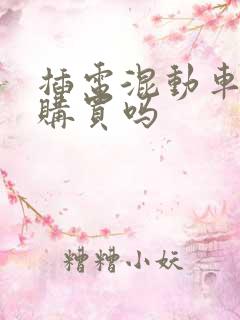 插电混动车值得购买吗