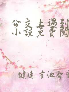 公交上遇到张姨小说免费阅读