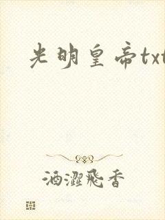 光明皇帝txt