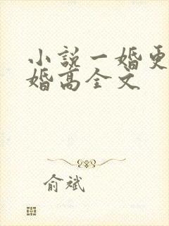 小说一婚更比一婚高全文
