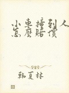 小车撞到人全责怎么赔偿