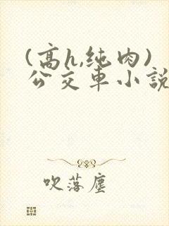 (高h,纯肉)公交车小说