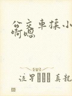 公交车揉小雯胸啊嗯