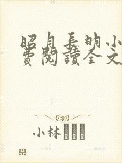 昭月长明小说免费阅读全文
