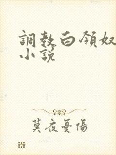 调教白领奴肉欲小说