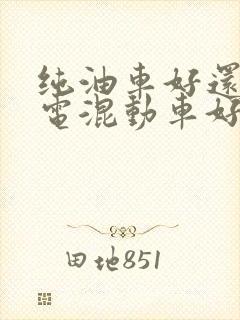 纯油车好还是油电混动车好