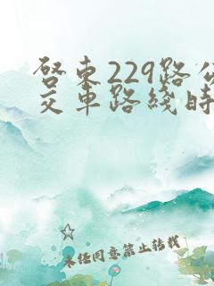 启东229路公交车路线时间表