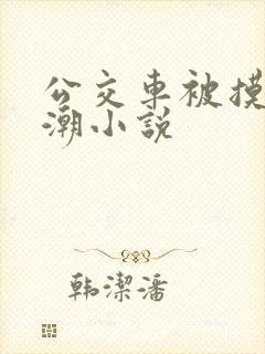 公交车被摸到高潮小说