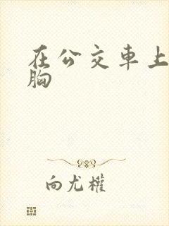 在公交车上被摸胸