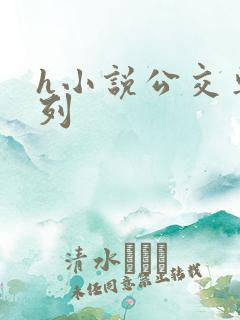 h小说公交车系列