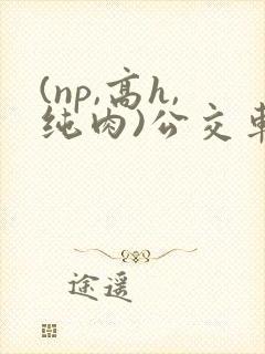 (np,高h,纯肉)公交车