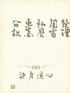 公车私用发生事故怎么处理