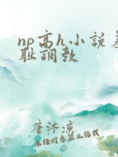 np高h小说羞耻调教