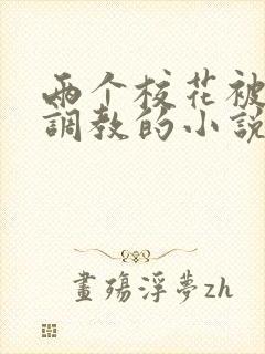 两个校花被富豪调教的小说