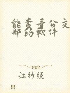 能查看公交车到哪的软件