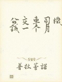 公交车司机多少钱一个月
