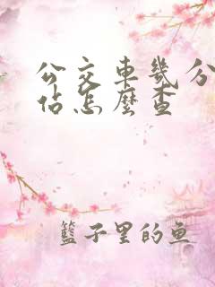 公交车几分钟到站怎么查