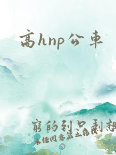 高hnp公车