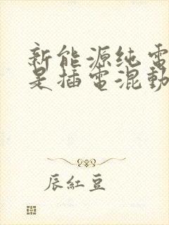 新能源纯电好还是插电混动好