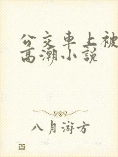 公交车上被摸到高潮小说