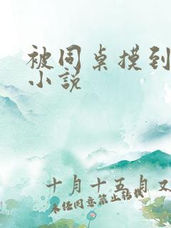 被同桌摸到高潮小说