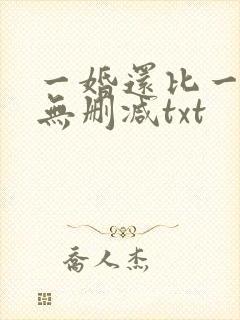 一婚还比一婚高无删减txt