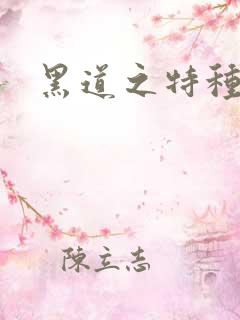 黑道之特种兵王