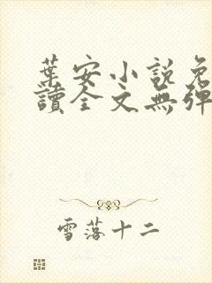 叶安小说免费阅读全文无弹窗