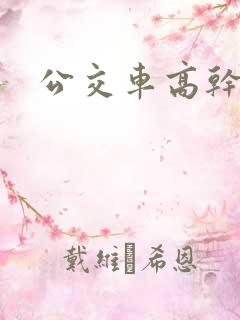 公交车高干h