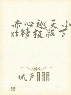 赤心巡天小说txt精校版下载