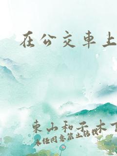在公交车上操人