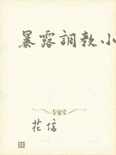暴露调教小说