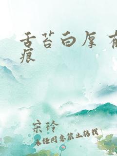 舌苔白厚 有齿痕