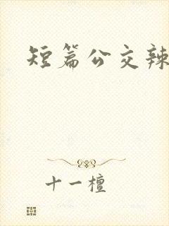 短篇公交辣文