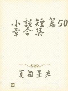 小说短篇500章合集