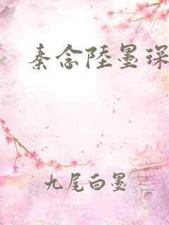 秦念陆墨琛