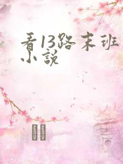 看13路末班车小说