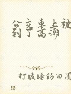 公交车上被人摸到了高潮