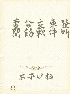 查公交车发车时间的软件叫什么