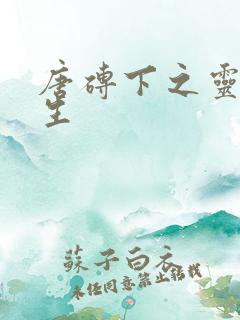 唐砖下之灵域双生
