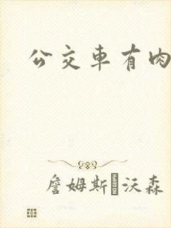 公交车有肉小说