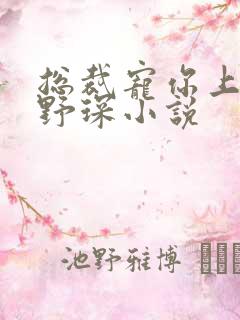 总裁宠你上瘾江野琛小说