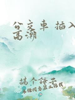 公交车 插入 高潮