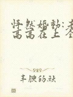 怦然婚动:老婆高高在上 全文阅读