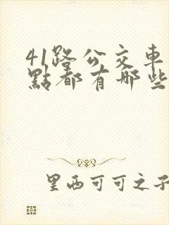 41路公交车站点都有哪些