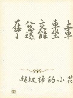 在公交车上高潮了还能坐车吗