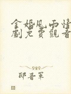 金婚风雨情电视剧免费观看