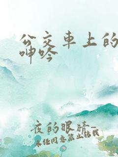 公交车上的高潮呻吟